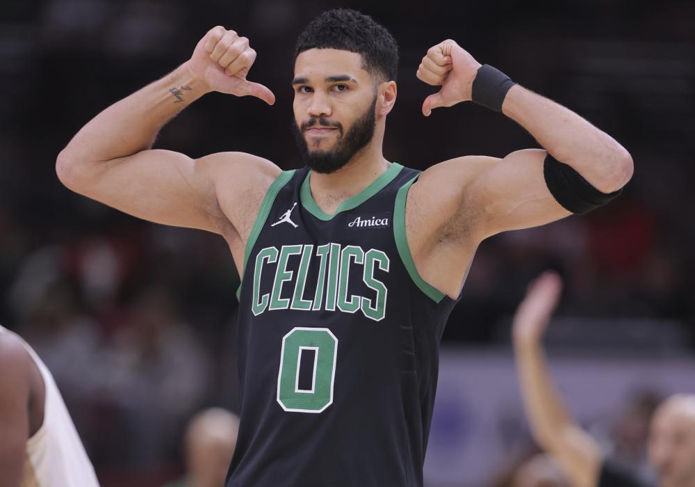 大部分条款 大部分条款