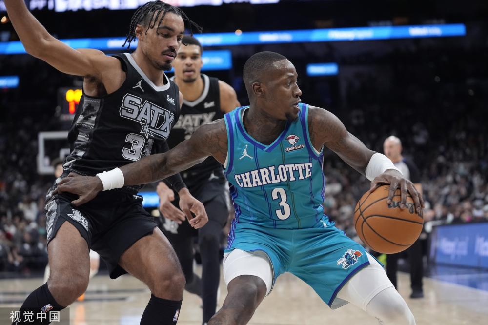 无论是专业 无论是专业