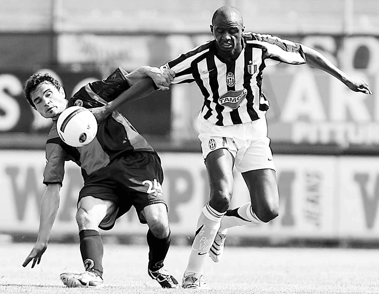 林的传闻目 林的传闻目